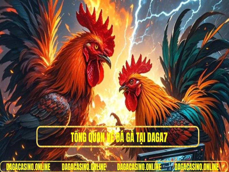Tổng quan về đá gà tại DAGA7